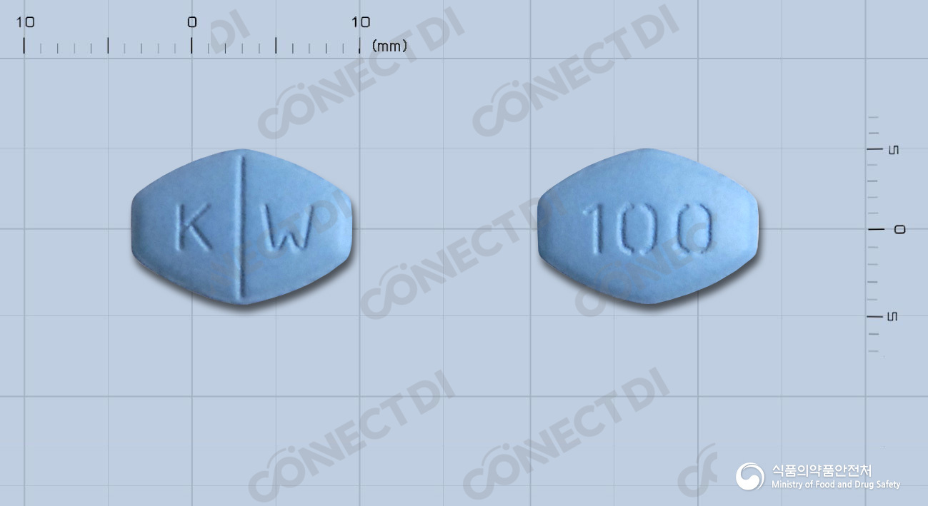 프리야정 100mg