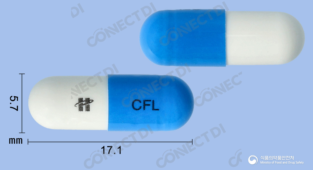 휴클러캡슐 250mg