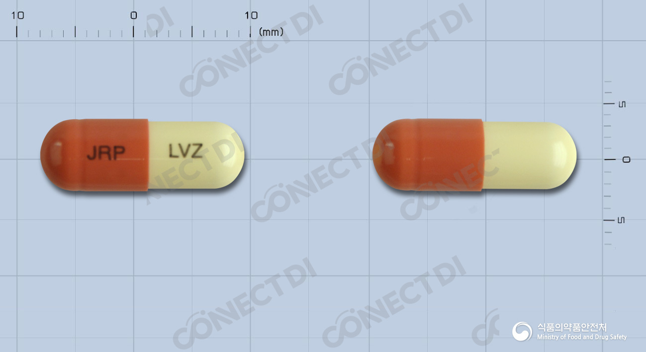 레보진캡슐 60mg