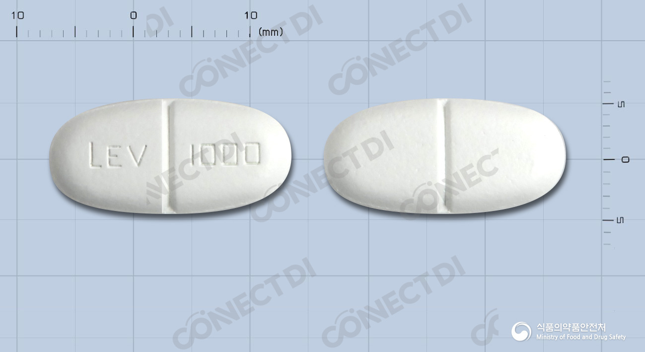 큐팜정 1000mg