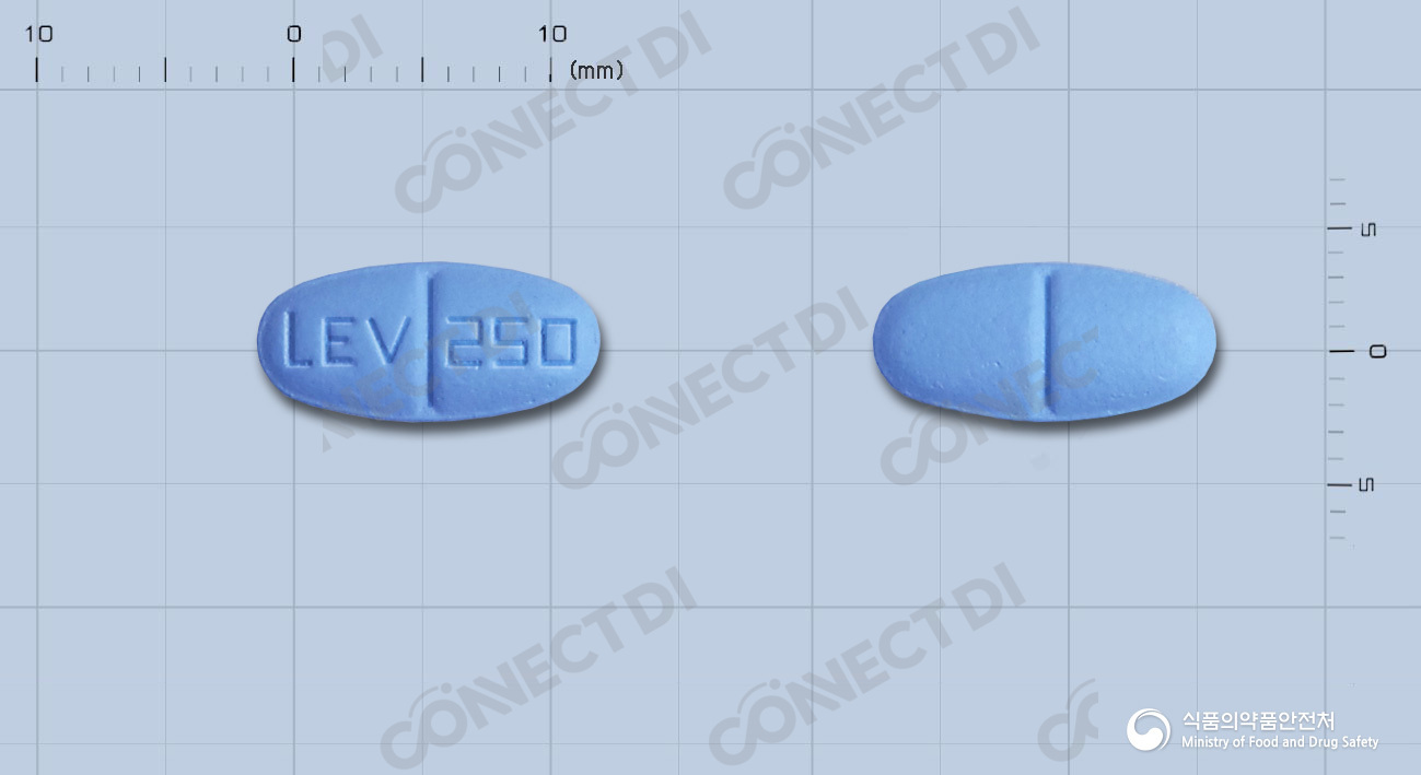 큐팜정 250mg