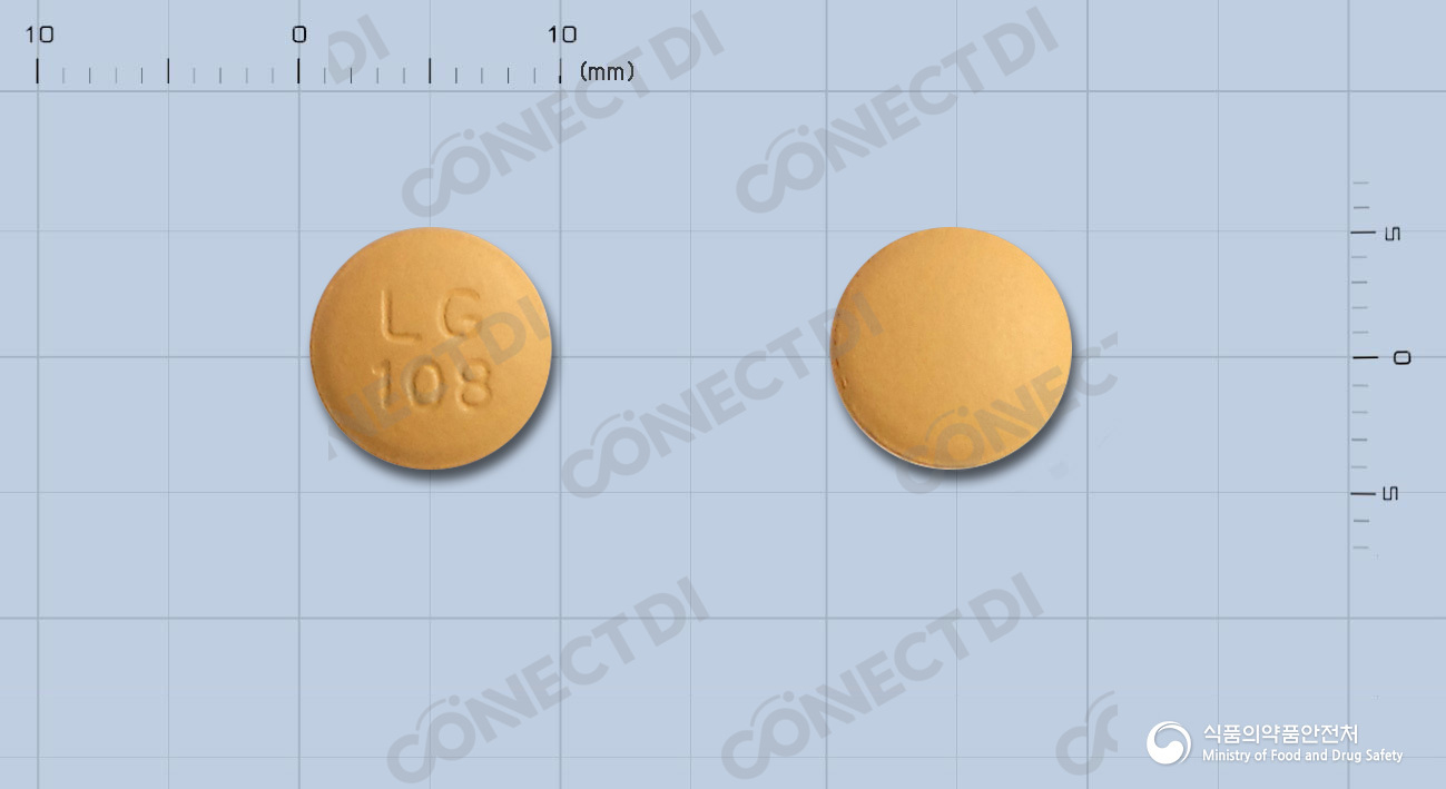 레바캄정 10/80mg