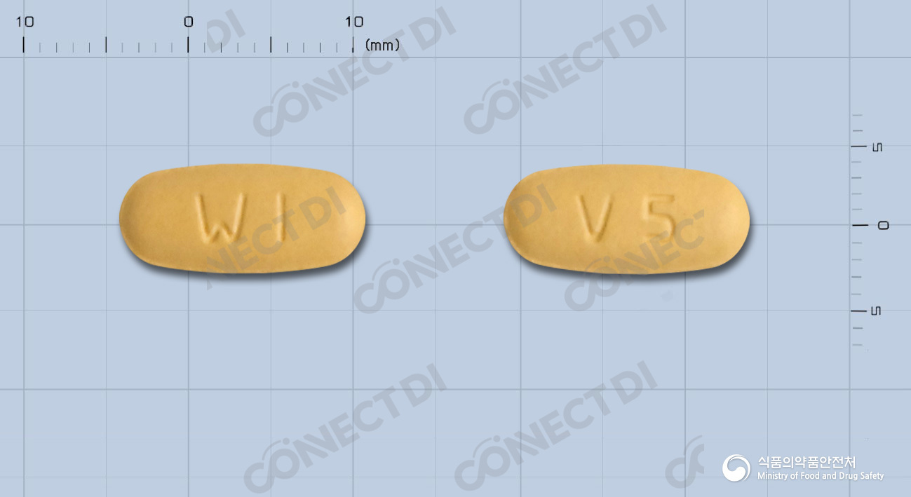 스타포지정 5/160mg
