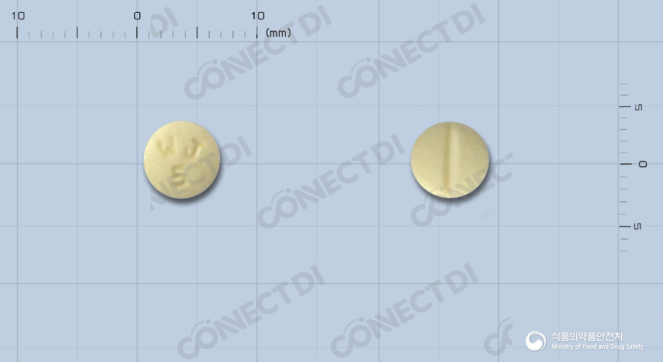 라니딥정 10mg