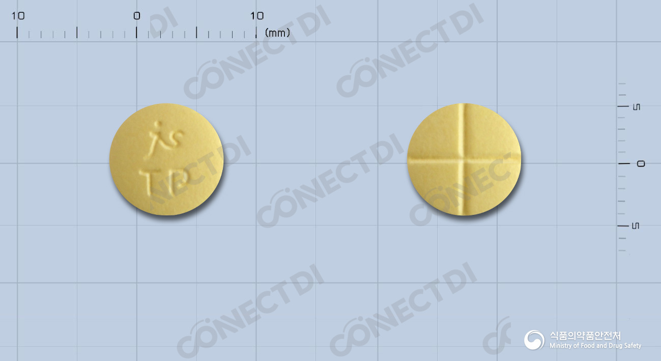 폰다미스정 100mg