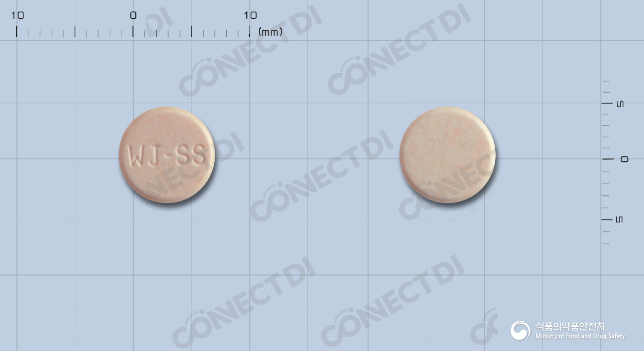 스레토정 10mg