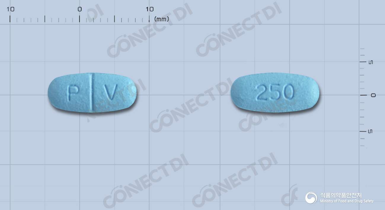 레비티라세브이정 250mg