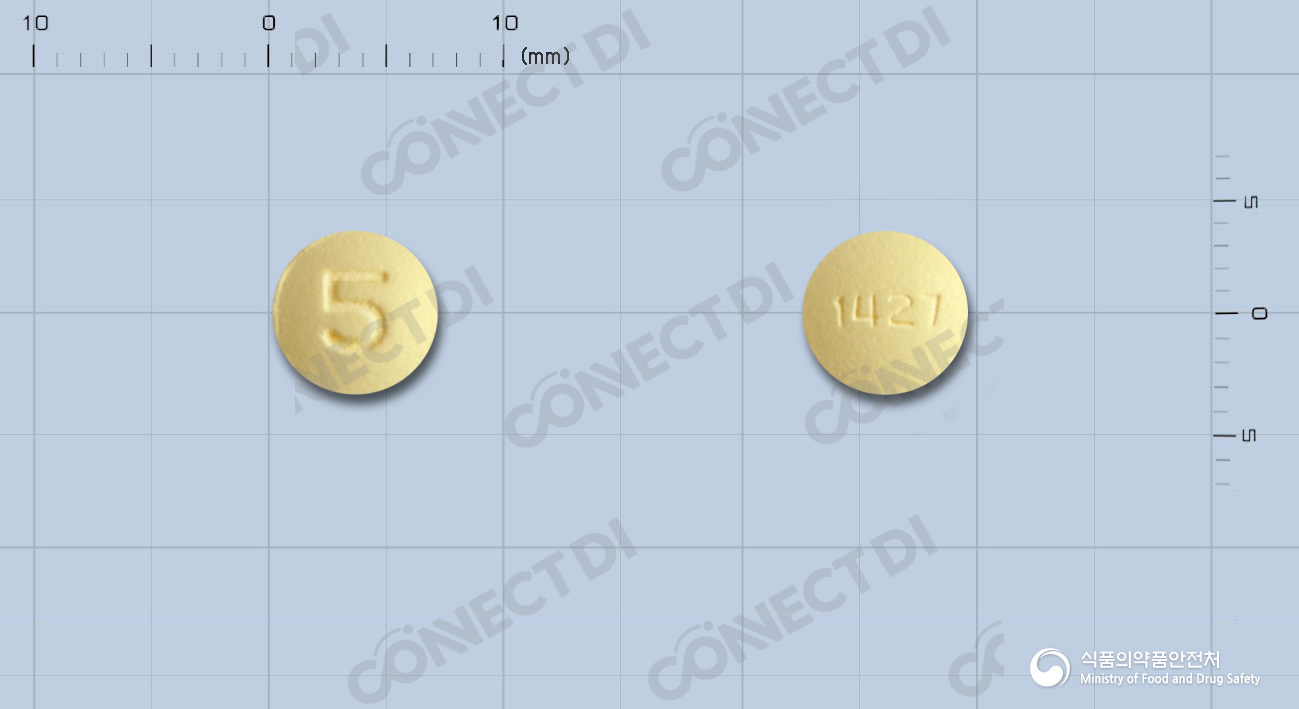 포시가정 5mg