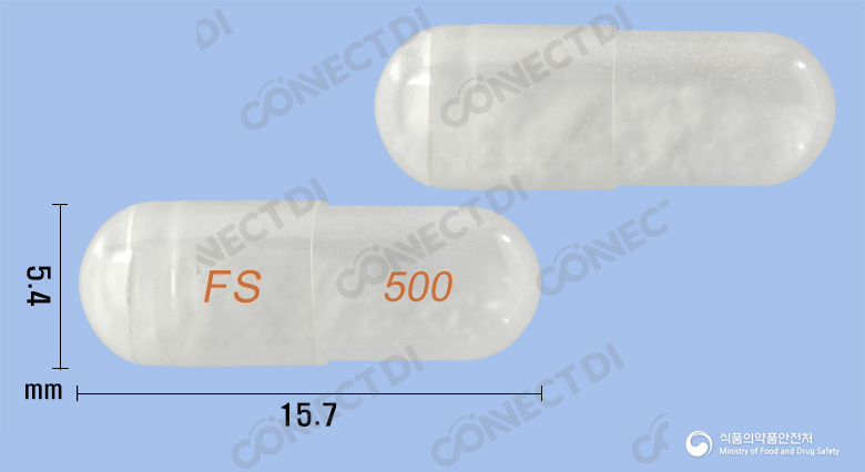 플루테롤흡입용캡슐 500/50mcg