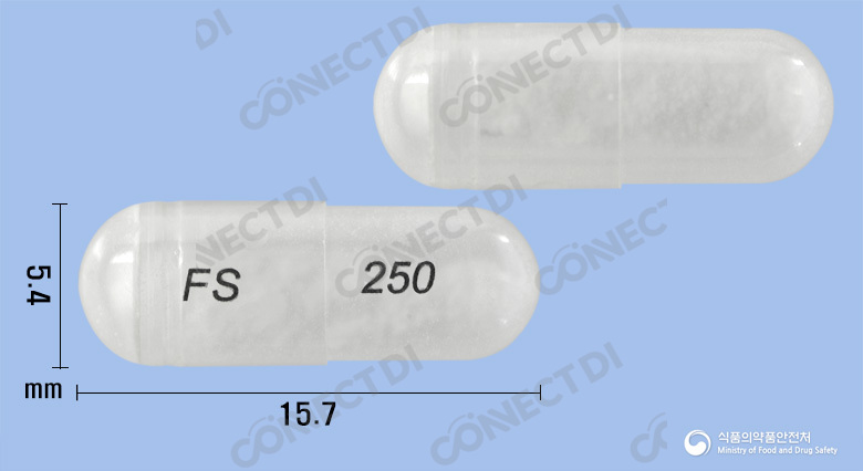 플루테롤흡입용캡슐 250/50mcg