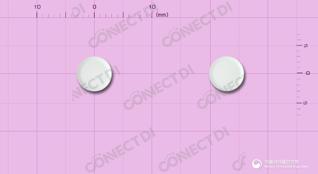 앱스트랄설하정 100mcg