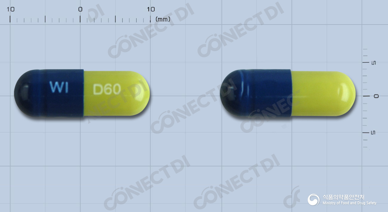 듀로셉톨캡슐 60mg