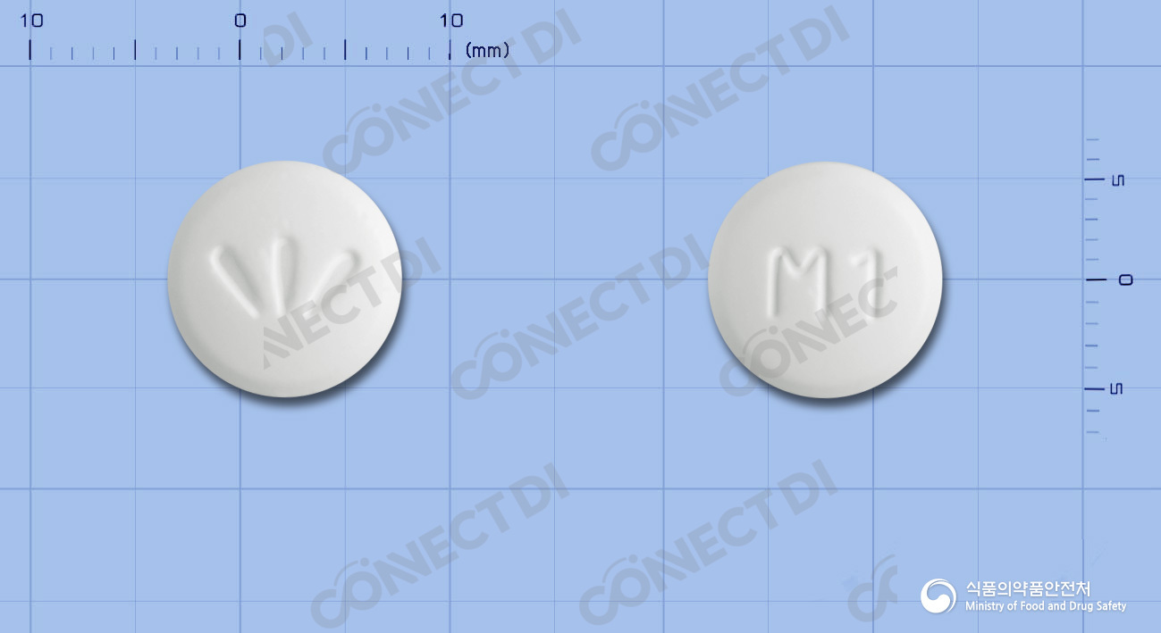 다이포민정 500mg