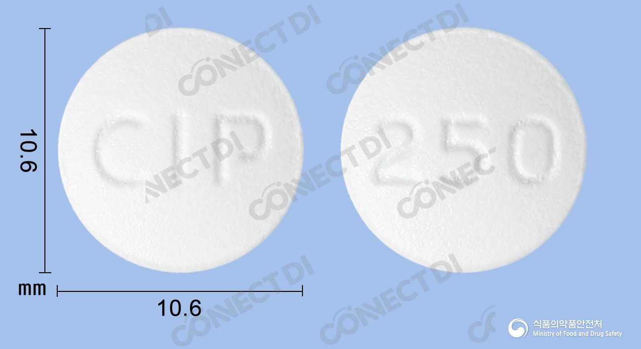 싸이프로신정 250mg