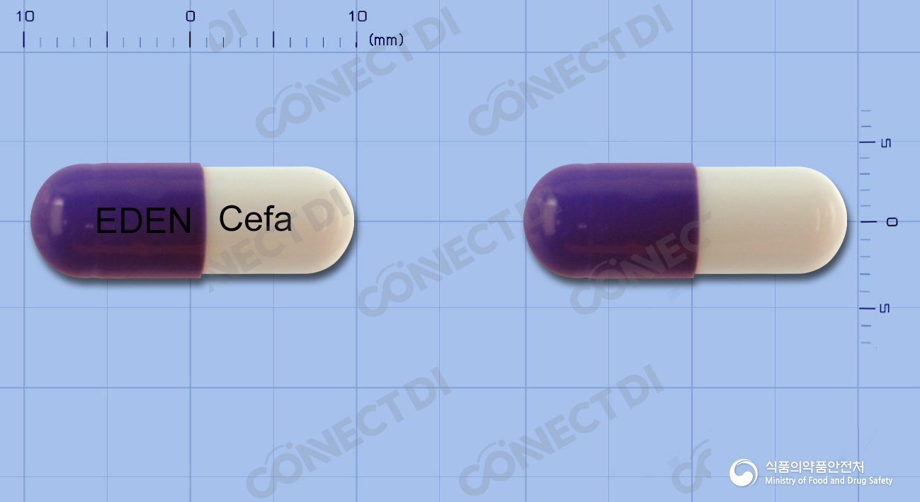 이든세파클러캡슐 250mg