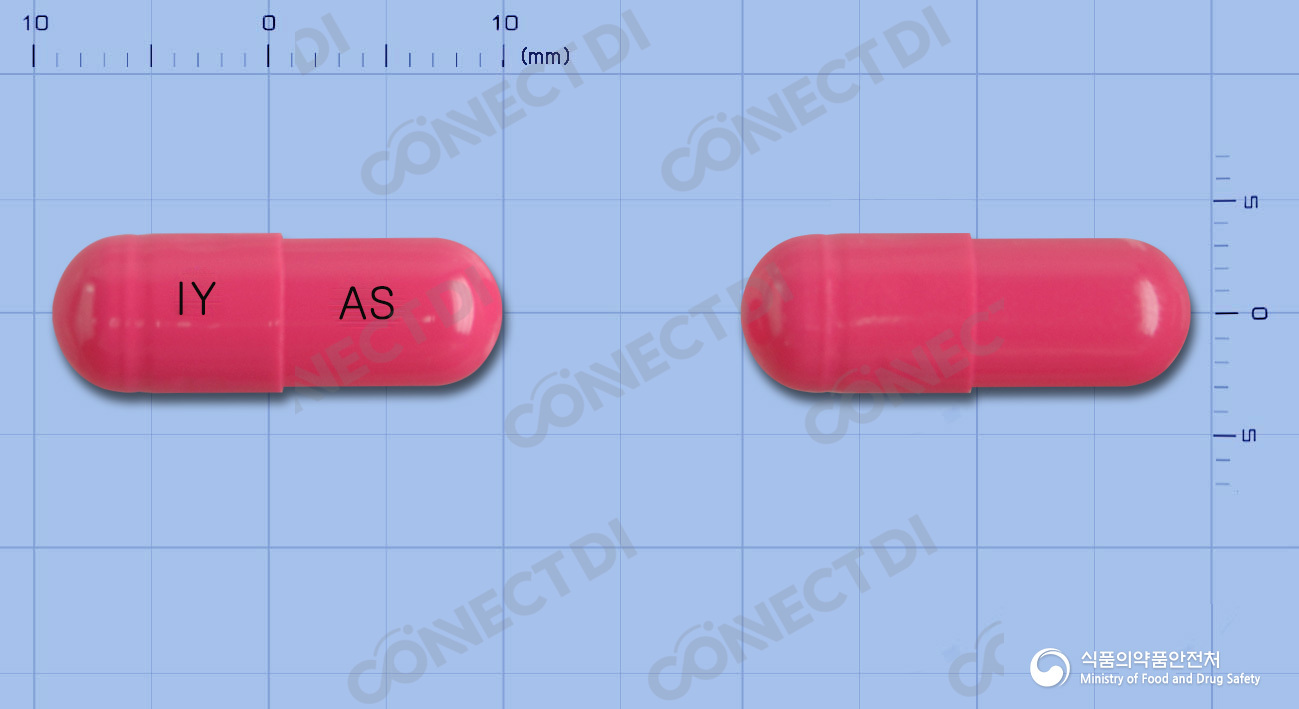 앤디락생캡슐 250mg