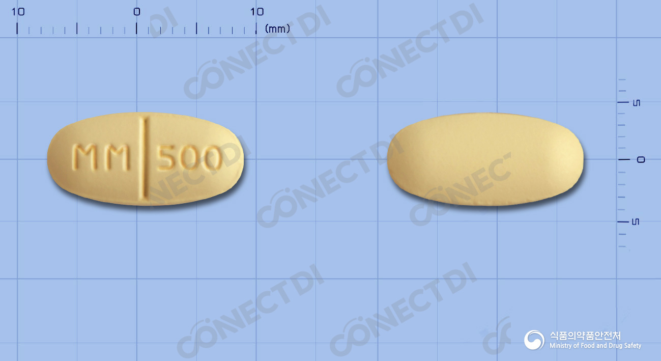 레티람정 500mg
