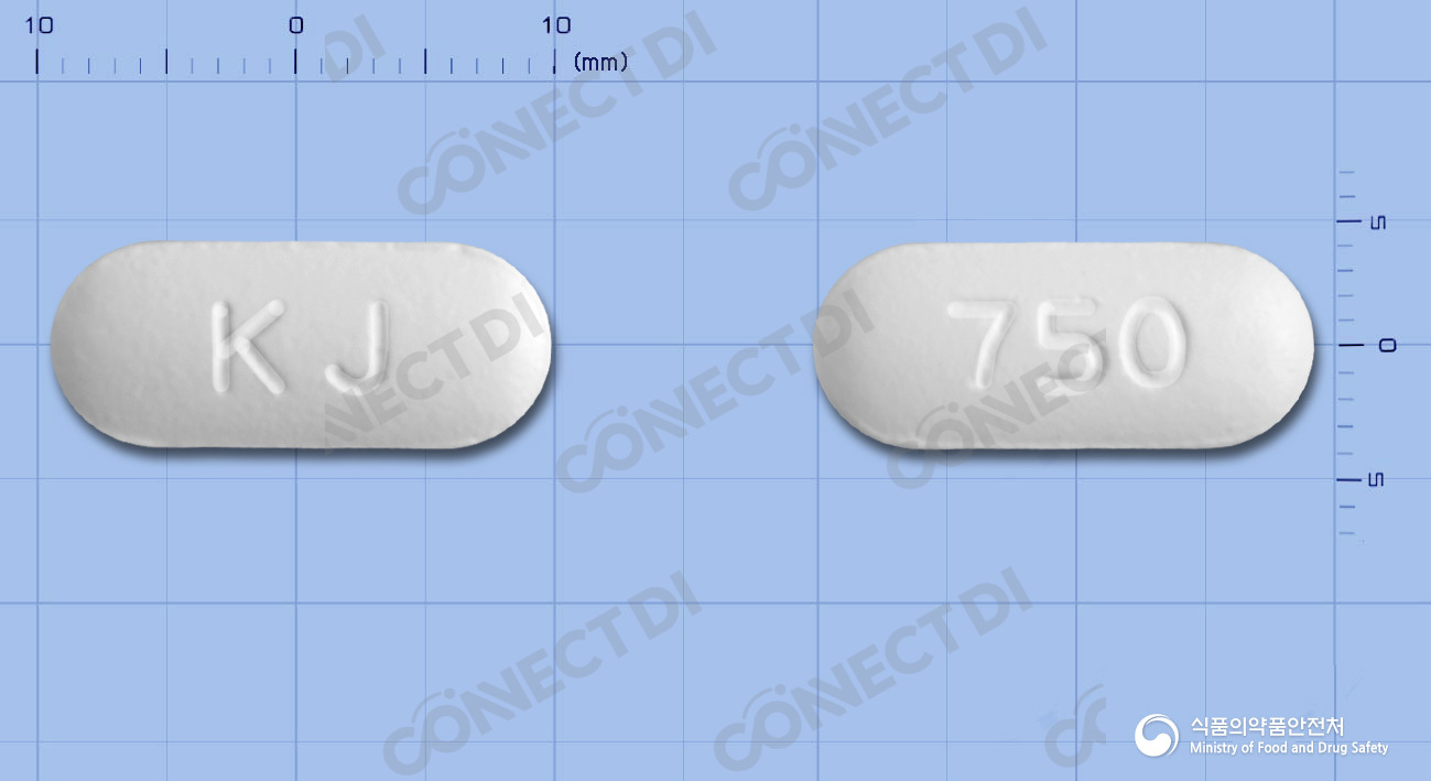 레보카신정 750mg