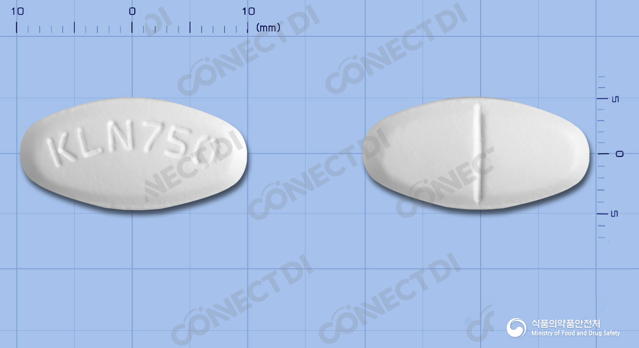 레보플러스정 750mg
