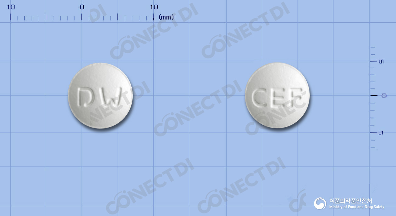 세프록틸정 100mg