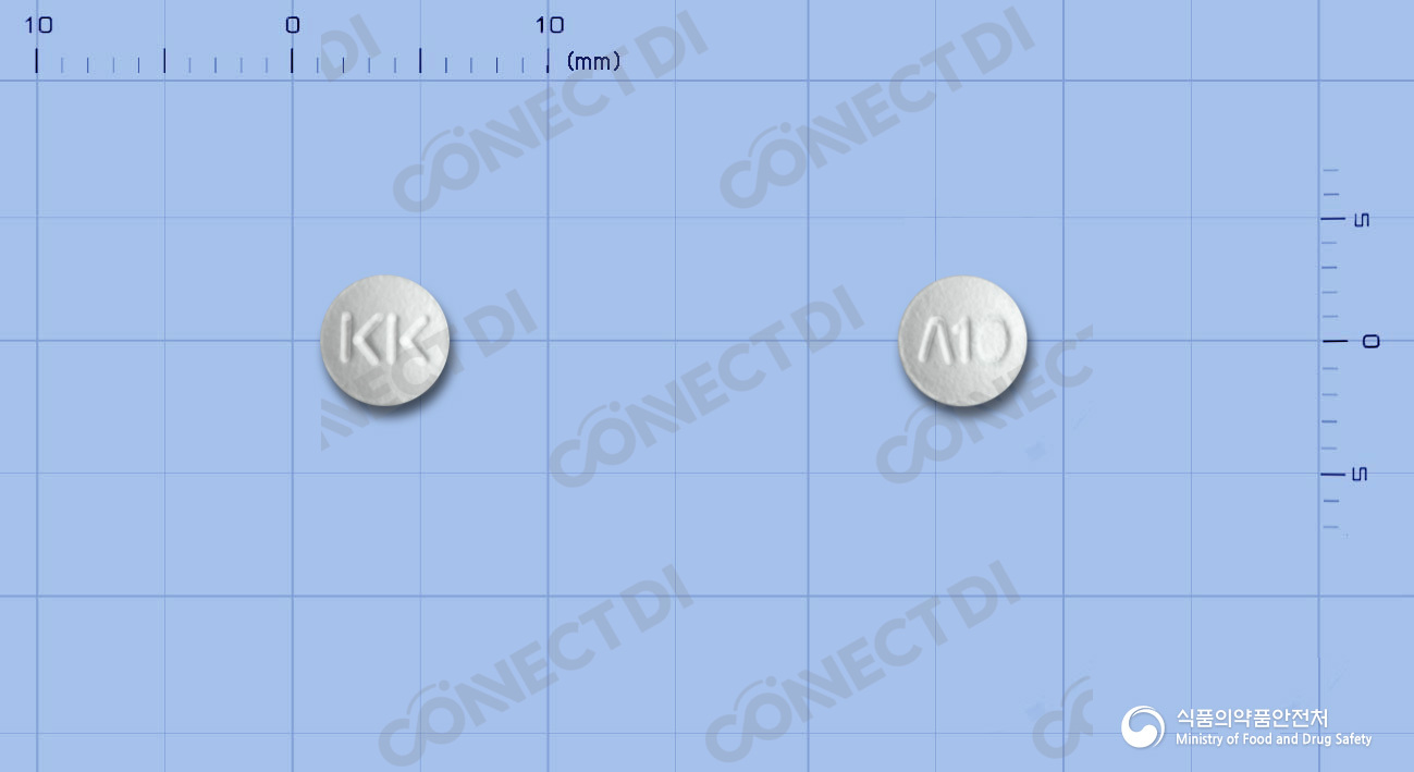 리파르정 10mg