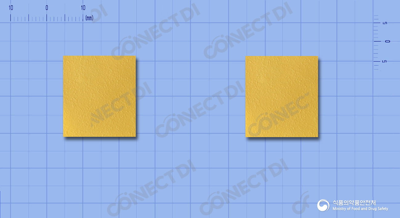 불티움구강붕해필름 5mg