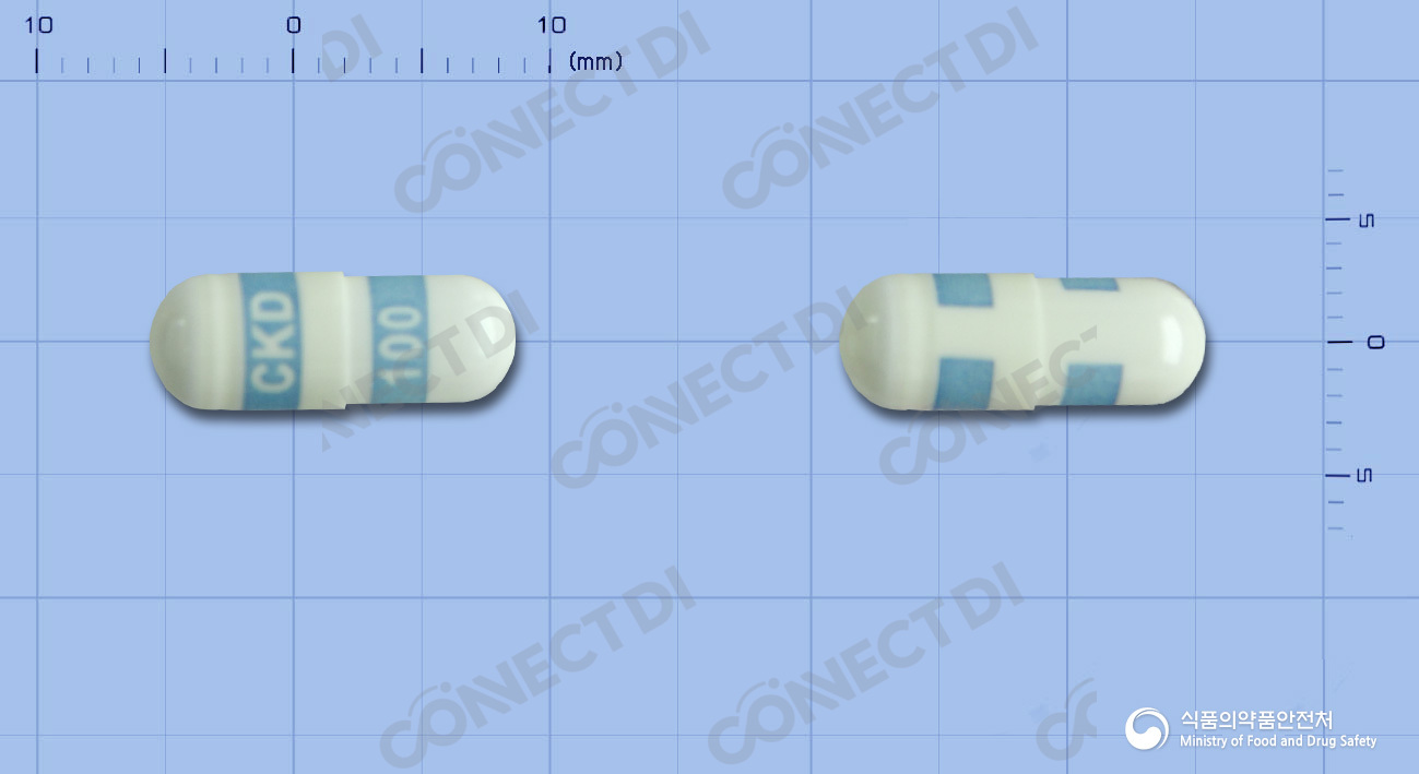 콕스비토캡슐 100mg