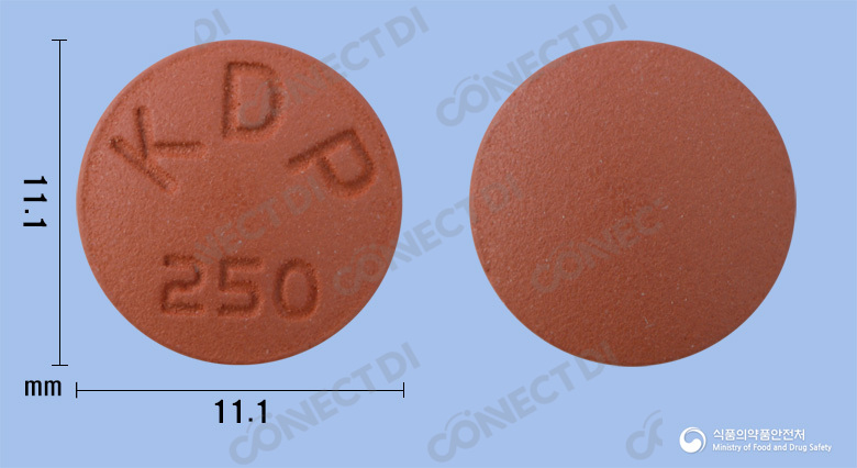 레피사정 250mg