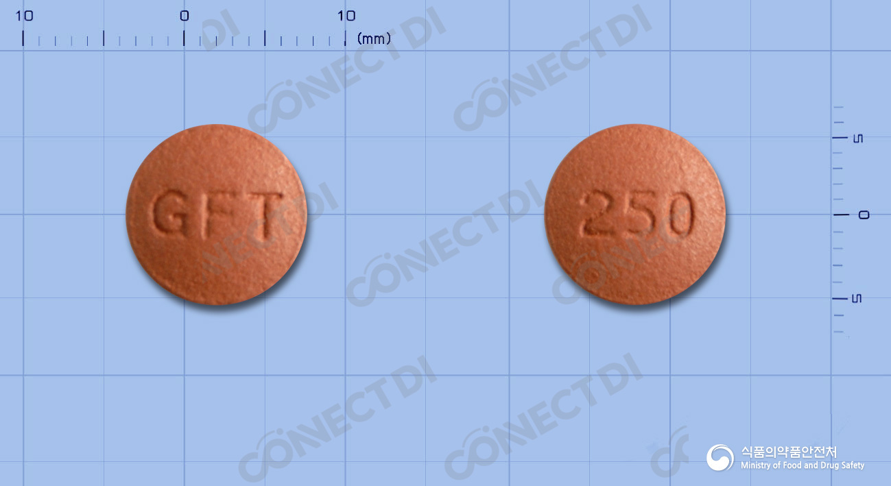 제피티닙정 250mg