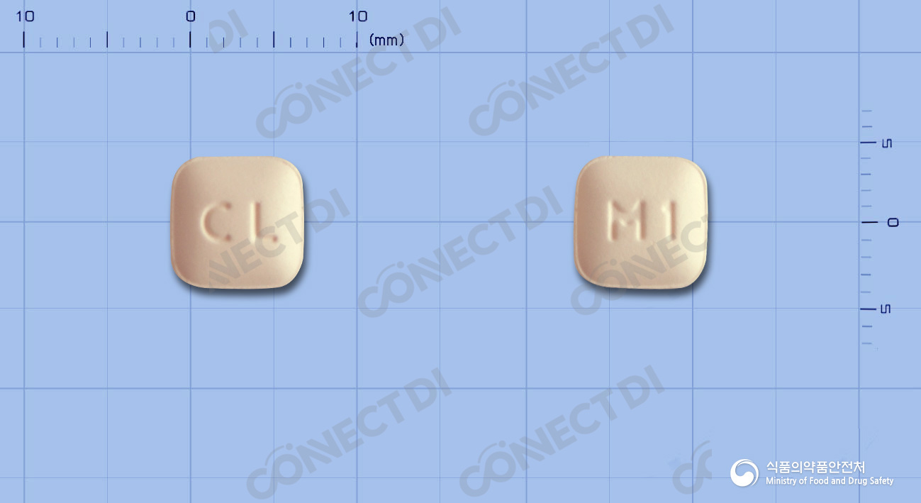 몬테라정 10mg