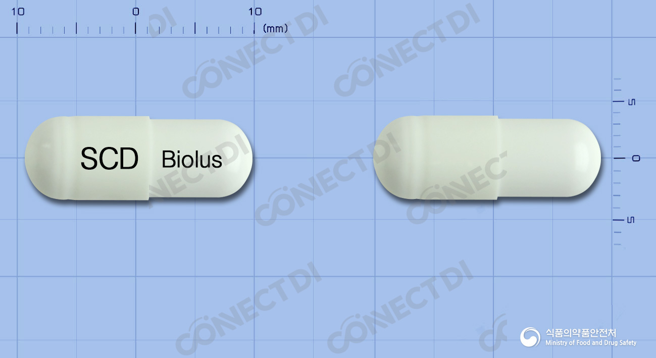 비오루스캡슐 250mg
