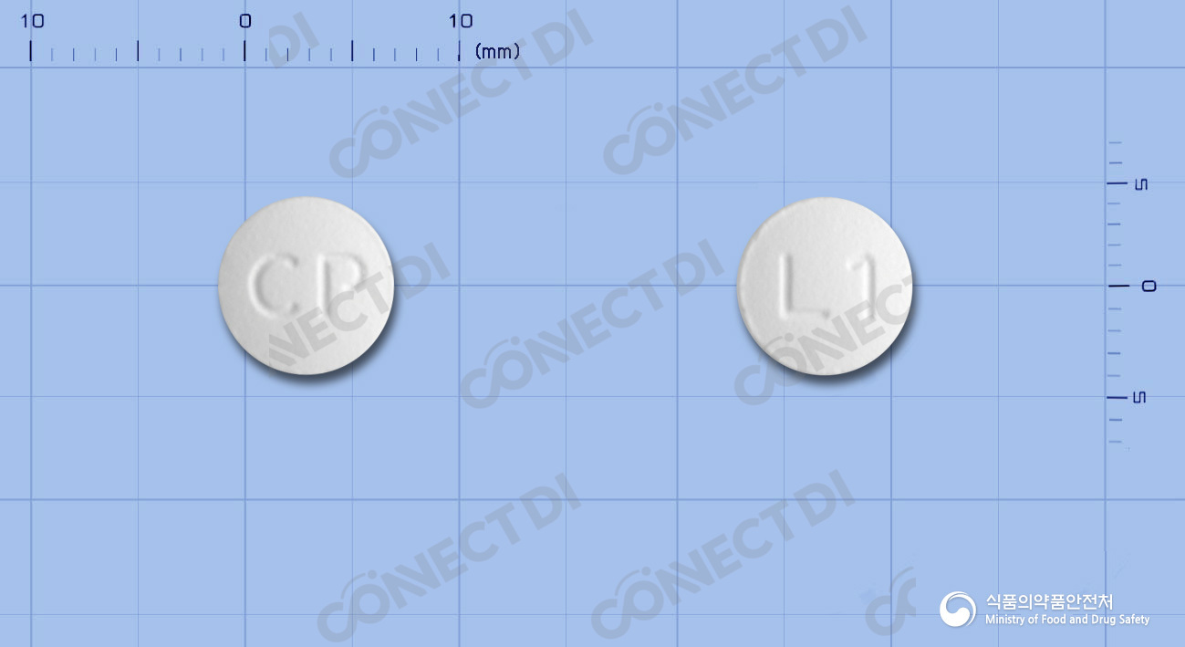 레플록신정 100mg