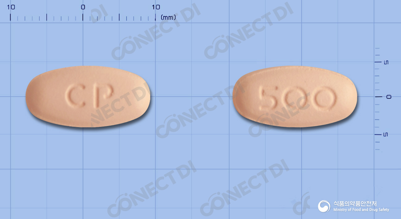 레플록신정 500mg