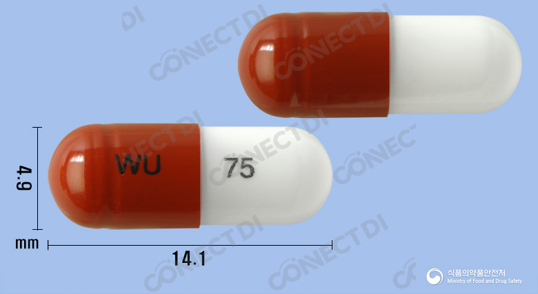 레가바캡슐 75mg