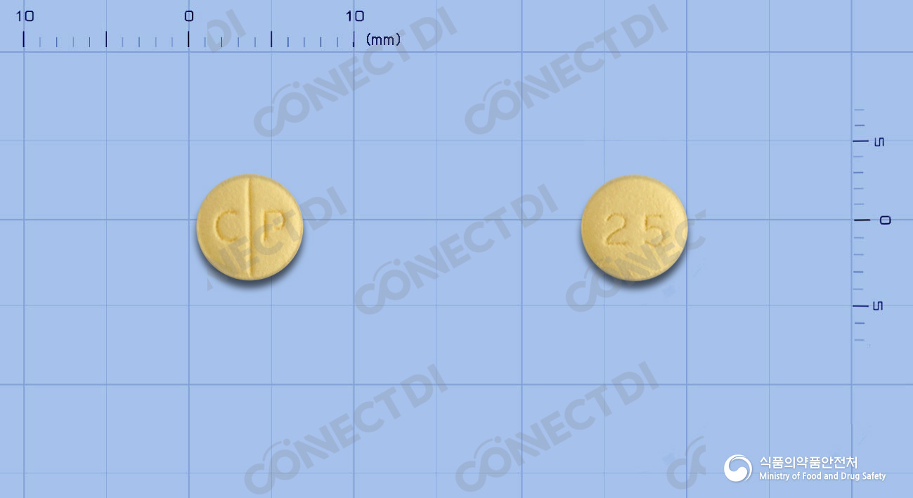 토라펜정 25mg