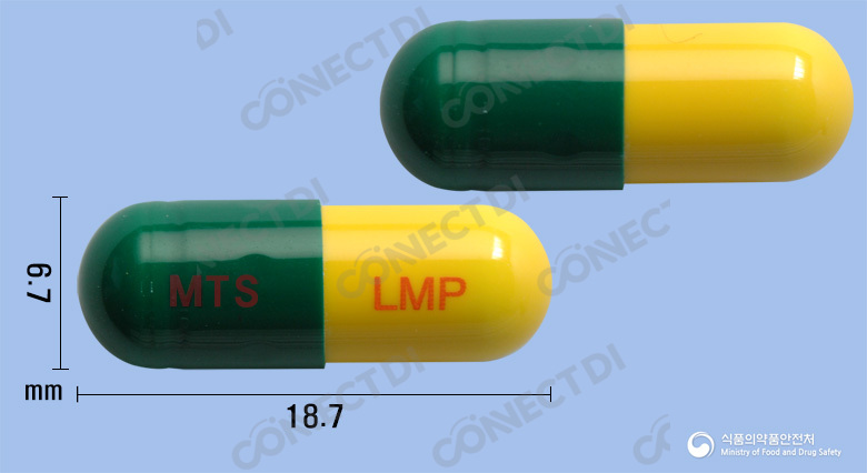 렘피드캡슐 300mg
