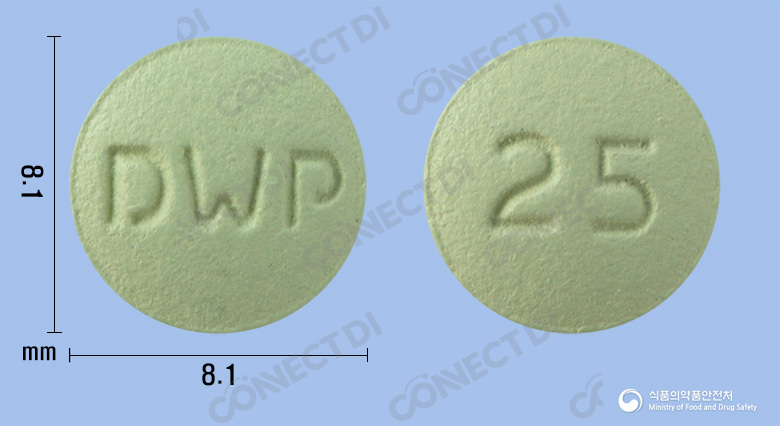 레파트진정 25mg