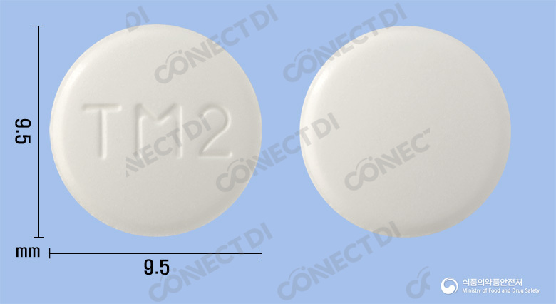 텔미스타정 80mg