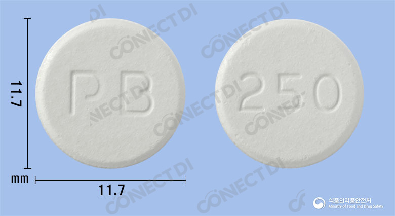헤모시록스확산정 250mg