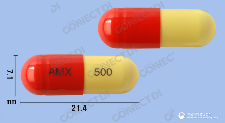 아목시스캡슐 500mg