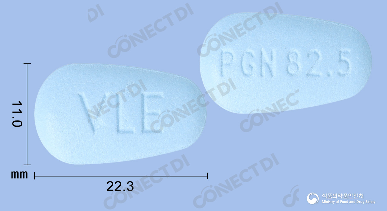 리리카CR서방정