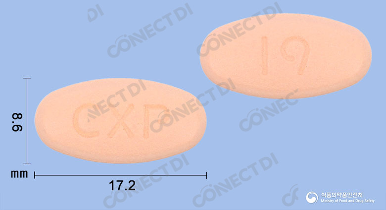 레보투정 500mg