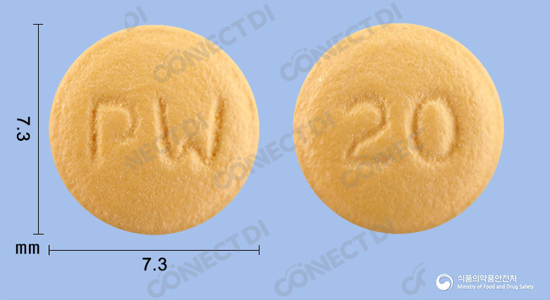 파리원정 20mg