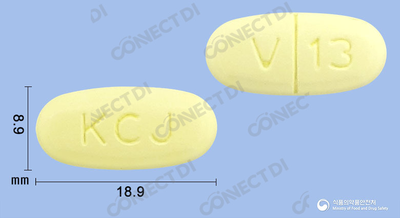 레타미정 500mg