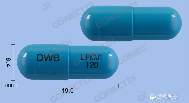 리피컷캡슐 120mg