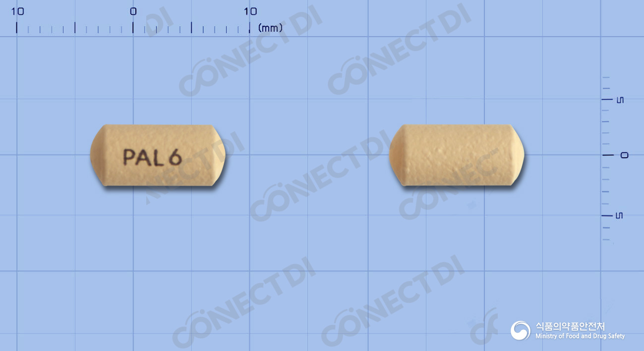 인베가서방정 6mg