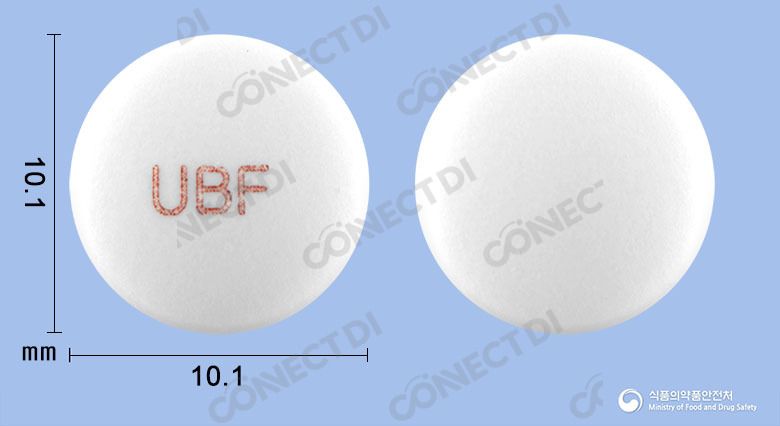 뉴브릭이에이치정 110mg