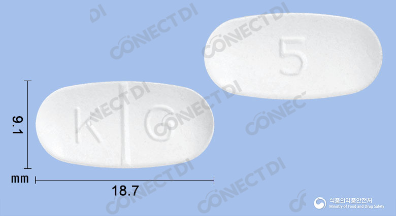 도베스정 500mg