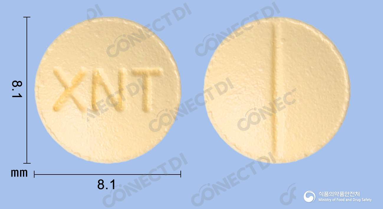 경동니세르골린정 30mg