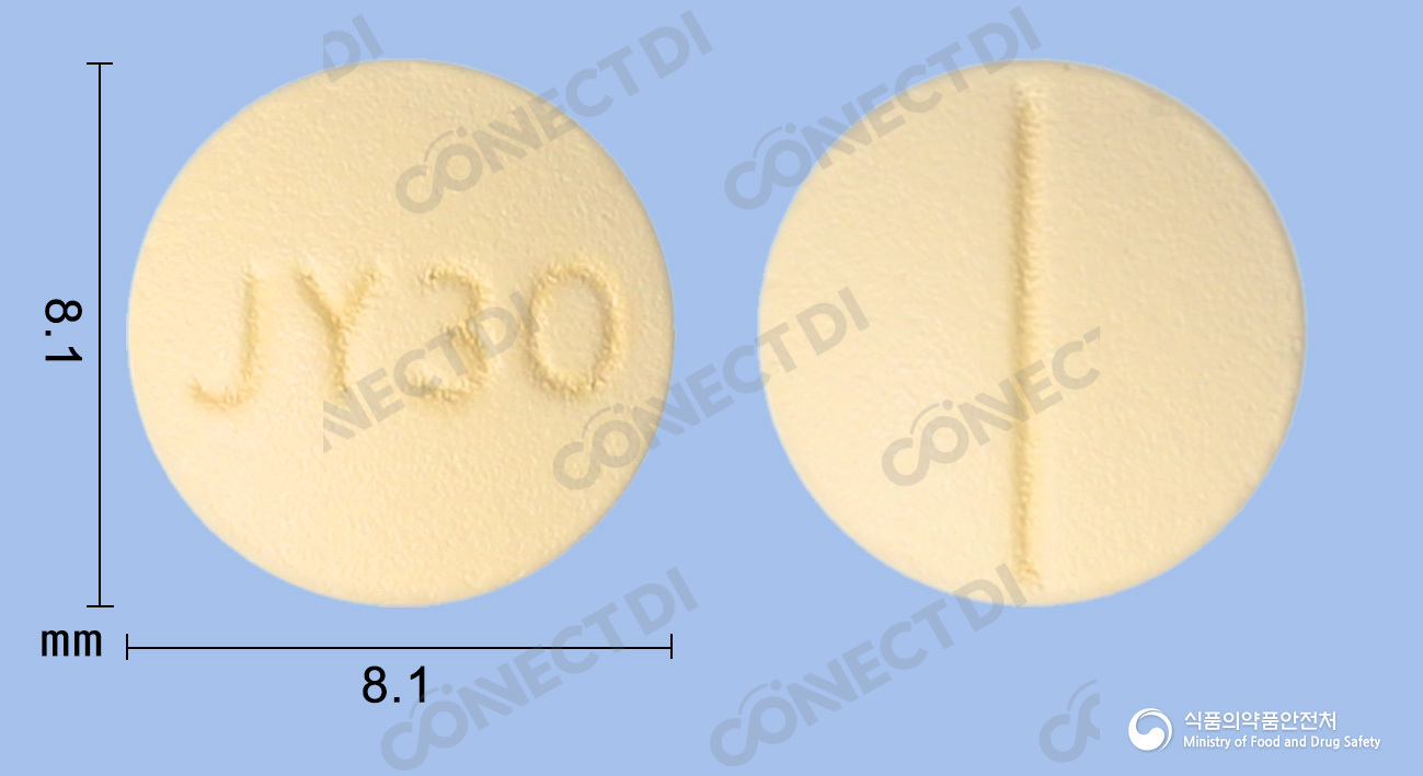 니세르골정 30mg